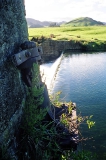 The remains of the drain outlet control mechanism